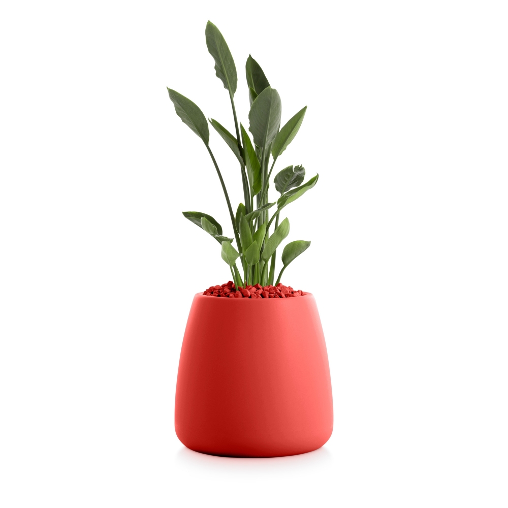 Diabla Gobi Planter - Version 1